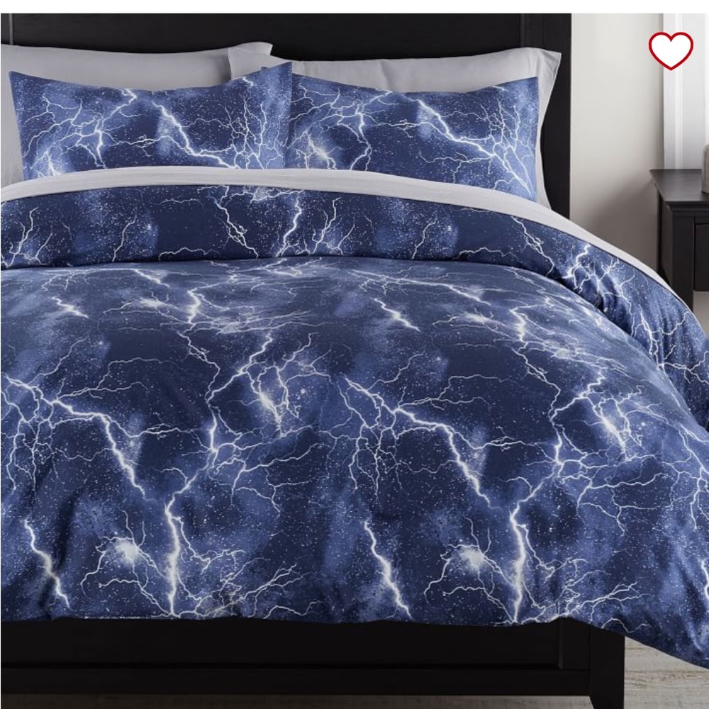 Pottery Barn Teen “Storm” Queen Duvet and 2 standard sham set